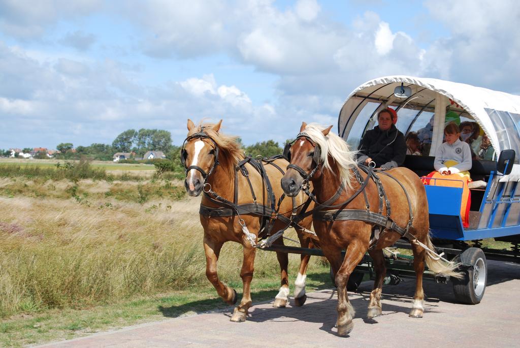 Doppelhaushaelfte In Vitte Auf Hiddensee ภายนอก รูปภาพ